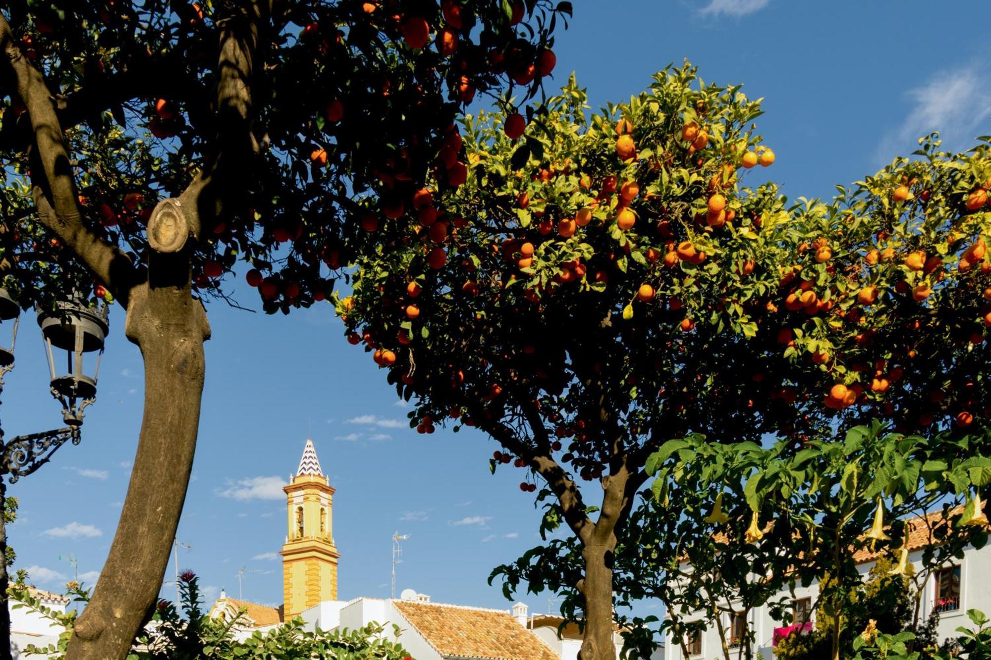 Casa Del Patio - Boutique Apartments (Adults Only) Estepona Exterior foto